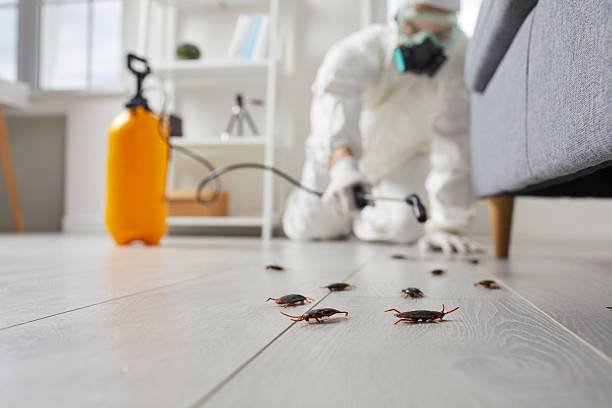 Commercial Kitchen Cockroach Control in St. Croix Falls